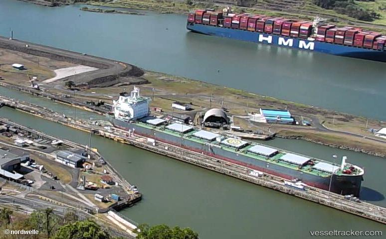 Yangze-12 - Bulk Carrier vessel
