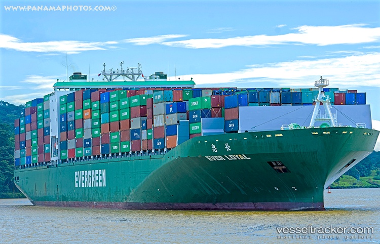 Ever-Loyal - Container Ship vessel