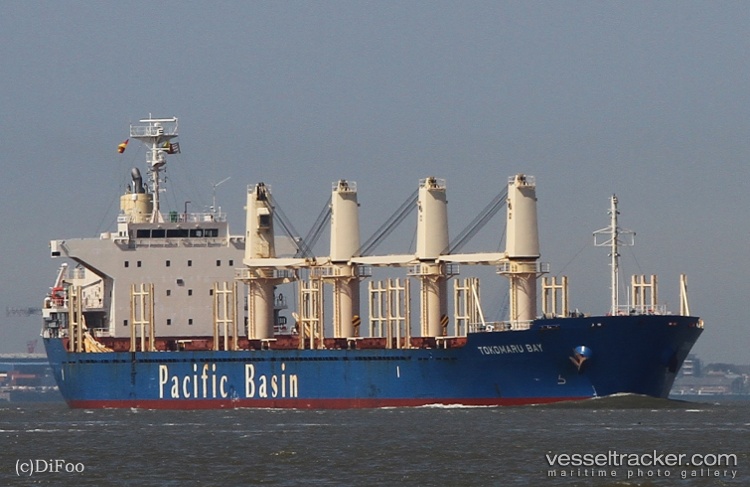 C-inspiration - Bulk Carrier vessel