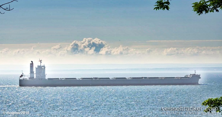 Cape-Sunrise - Bulk Carrier vessel