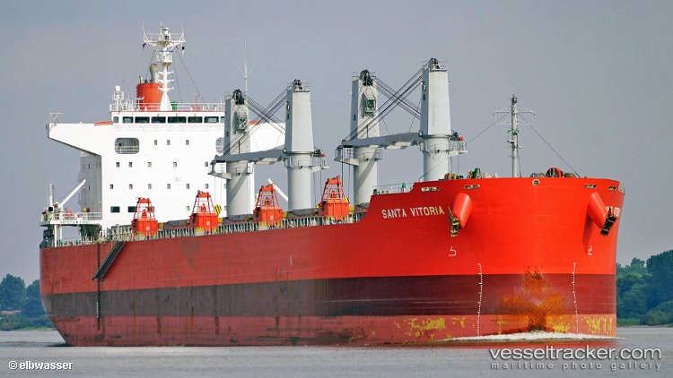 Maple-Unity - Bulk Carrier