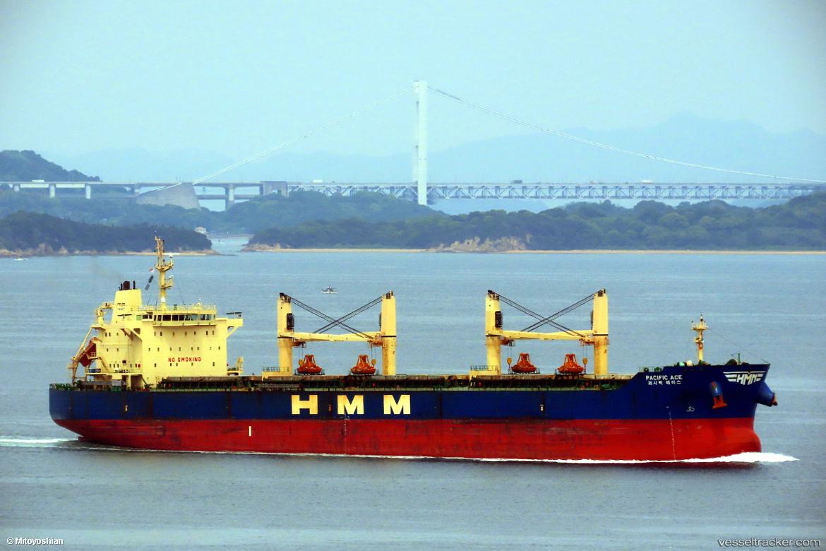 Pacific-Ace - Bulk Carrier vessel