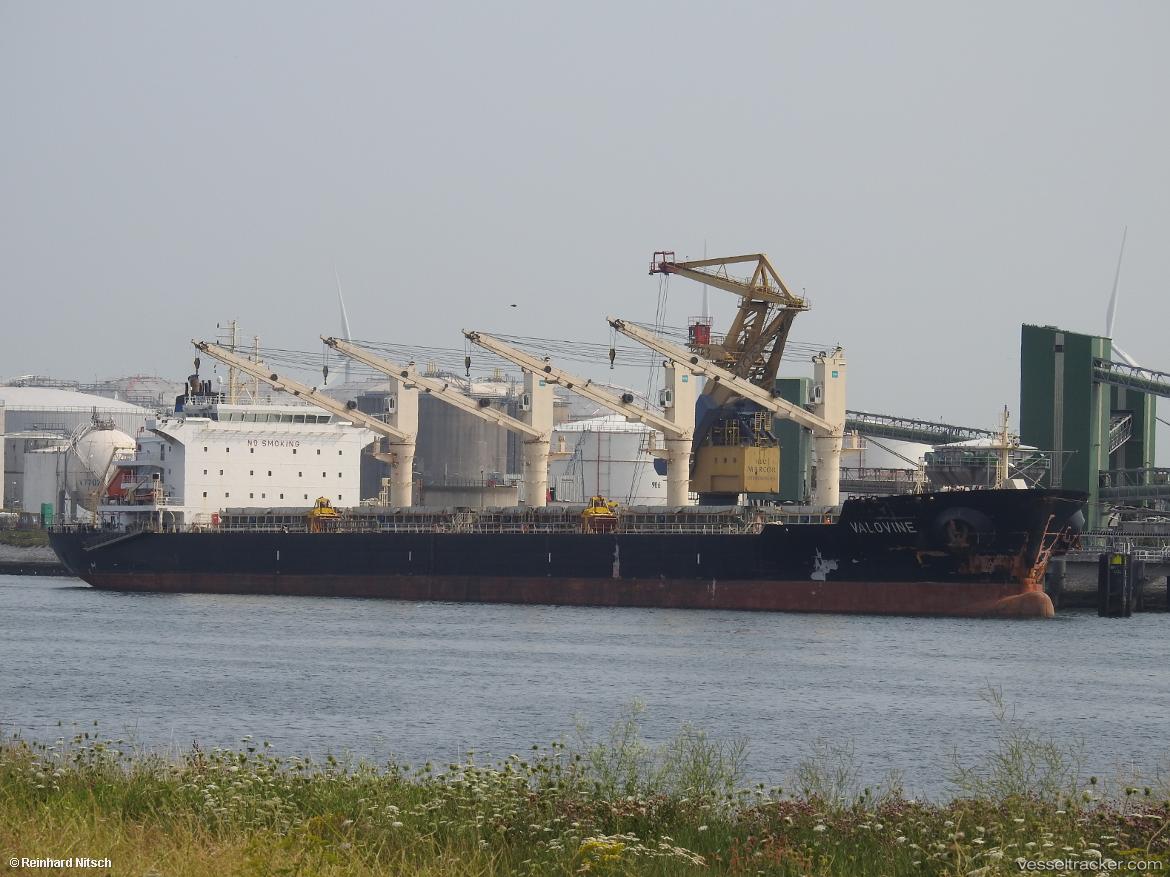 Serenity - Bulk Carrier vessel