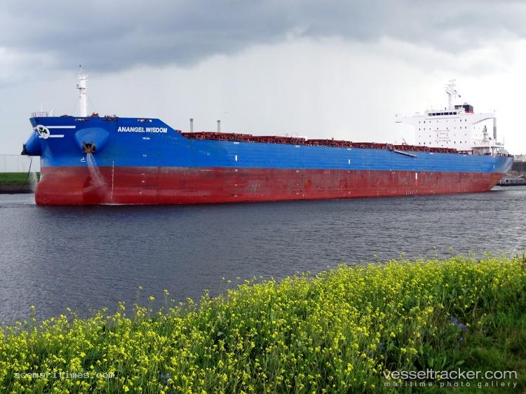 Marine-Wisdom - Bulk Carrier