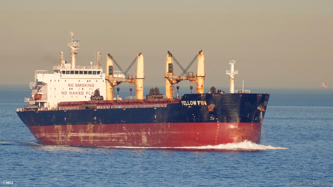 Yellow-Fin - Bulk Carrier vessel