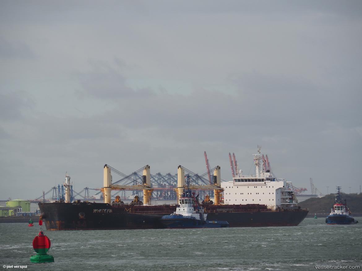 White-Fin - Bulk Carrier vessel