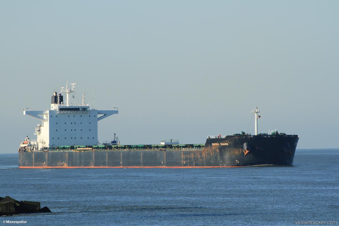 Densa-Shark - Bulk Carrier vessel