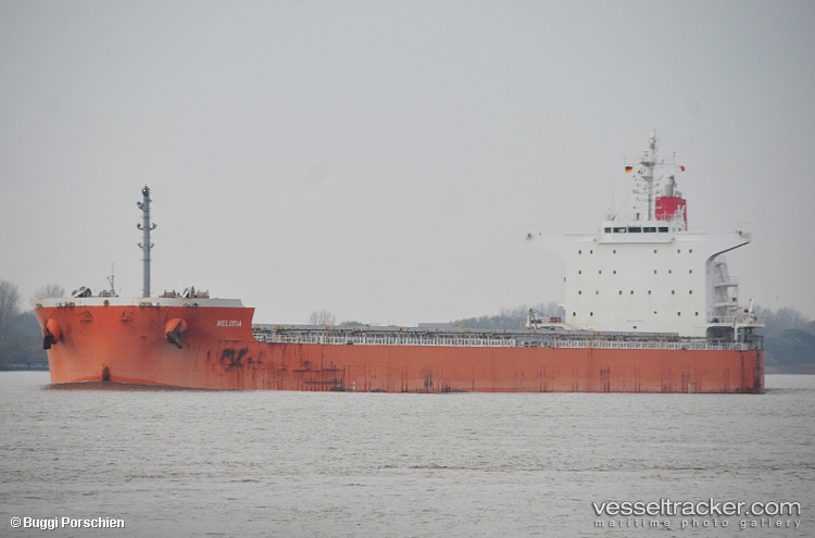Fiesta - Bulk Carrier vessel