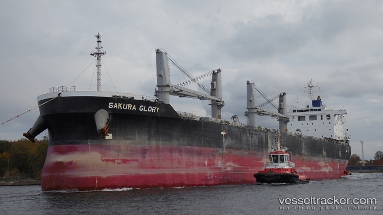 Sakura-Glory - Bulk Carrier vessel