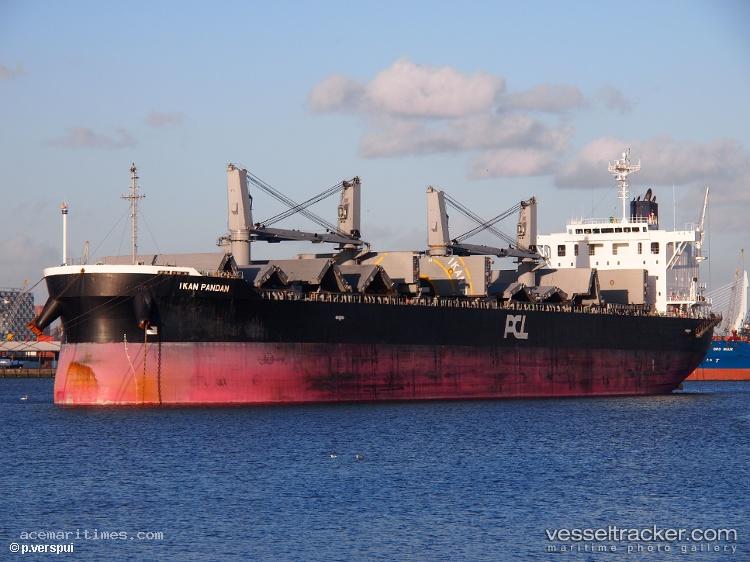 Luffy - Bulk Carrier