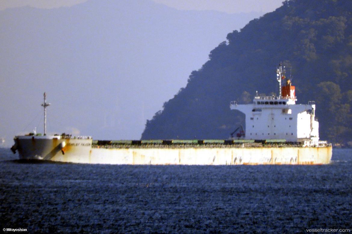 Scarlet-Falcon - Bulk Carrier vessel