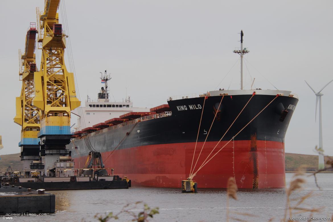 King-Milo - Bulk Carrier