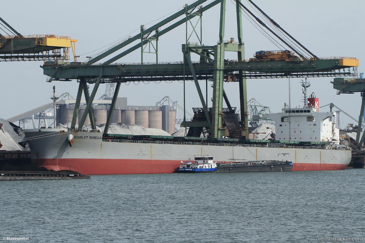 Scarlet-Rosella - Bulk Carrier vessel
