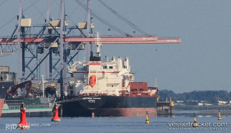 Melody-Selmer - Bulk Carrier
