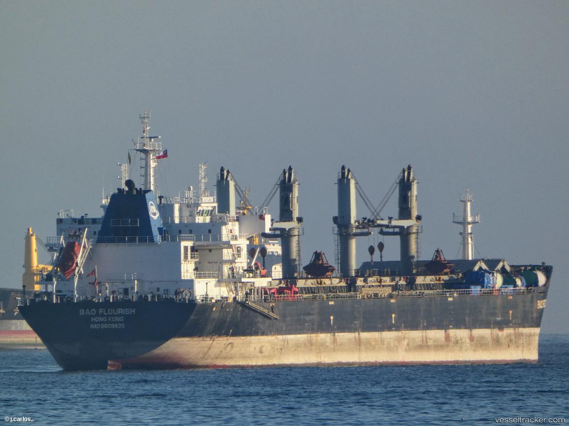 Bao-Flourish - Bulk Carrier vessel