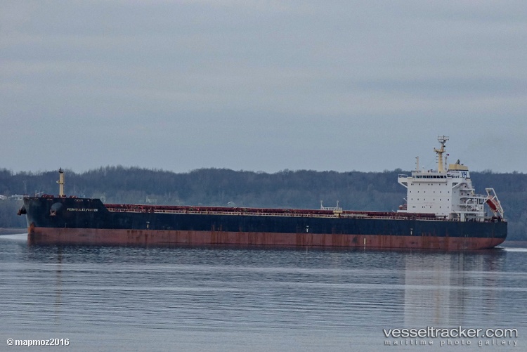 Fei-Peng - Bulk Carrier vessel