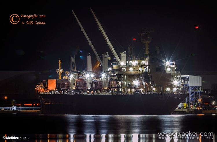 Federal-Spruce - Bulk Carrier vessel