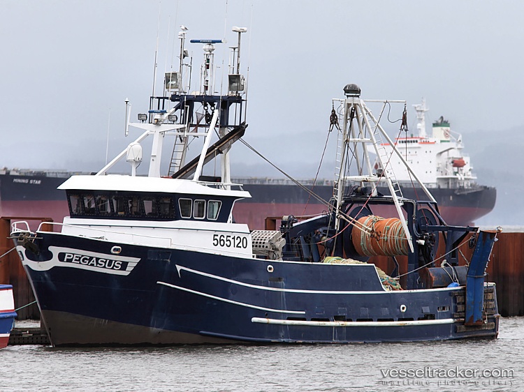 Pegasus - Bulk Carrier vessel