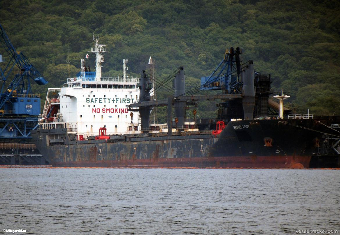 Bronze-Lady - Bulk Carrier vessel