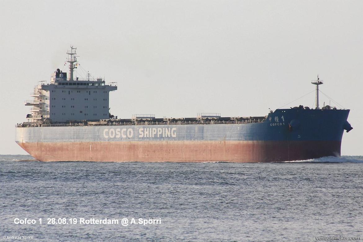 Cofco1 - Bulk Carrier vessel