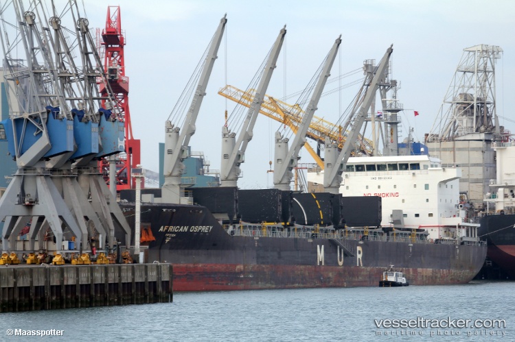 African-Osprey - Bulk Carrier vessel