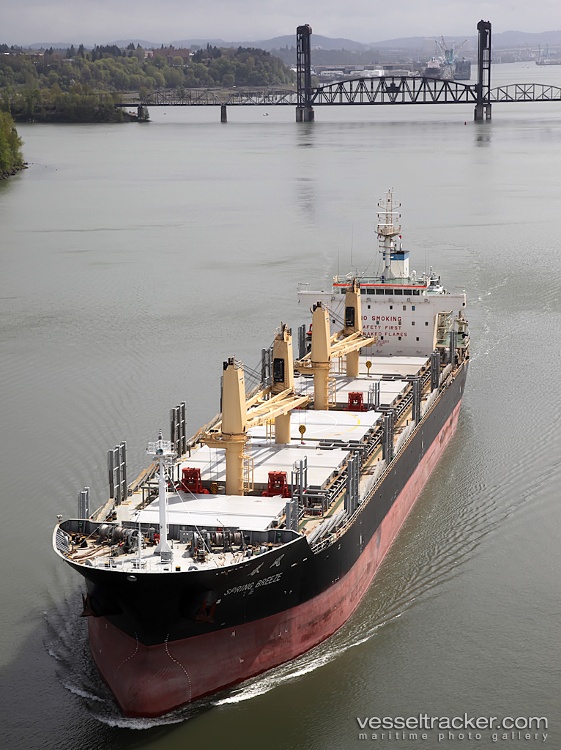 Sunny-Hong - Bulk Carrier vessel