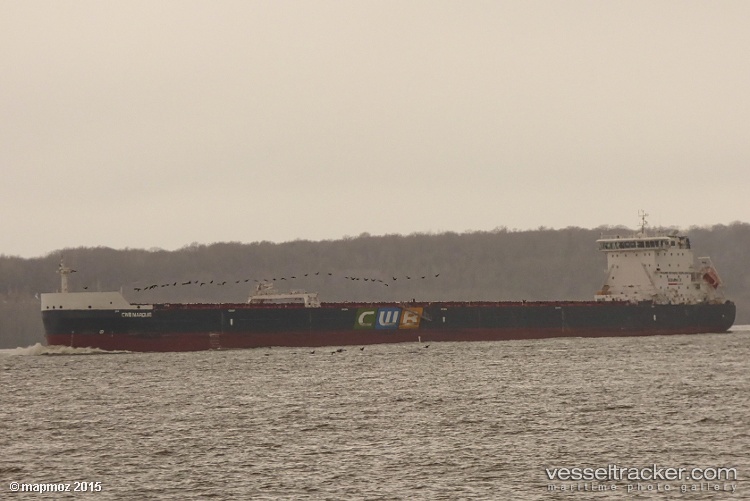 G3-Marquis - Self Discharging Bulk Carrier vessel