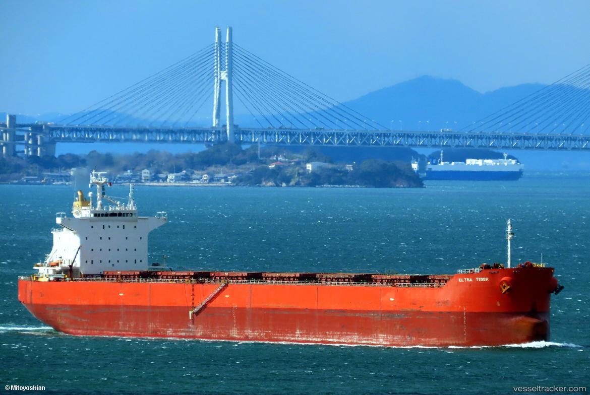 Forest-Trader - Bulk Carrier vessel