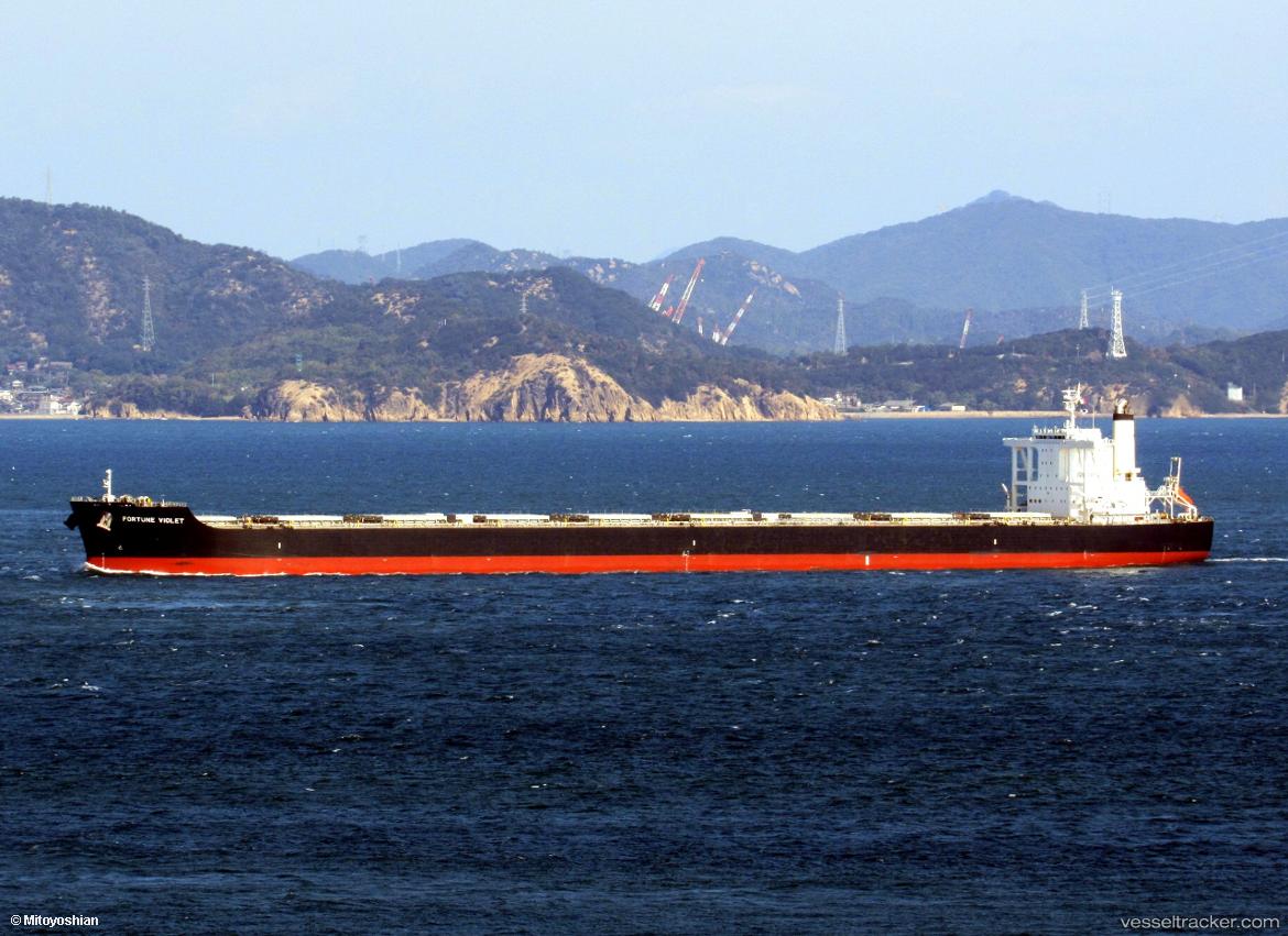Fortune-Violet - Bulk Carrier vessel