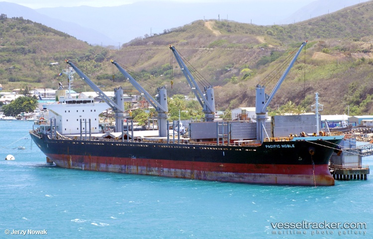 Beetle - Bulk Carrier vessel