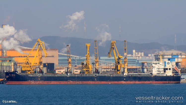 Xin-Yi-Hai-16 - Bulk Carrier vessel