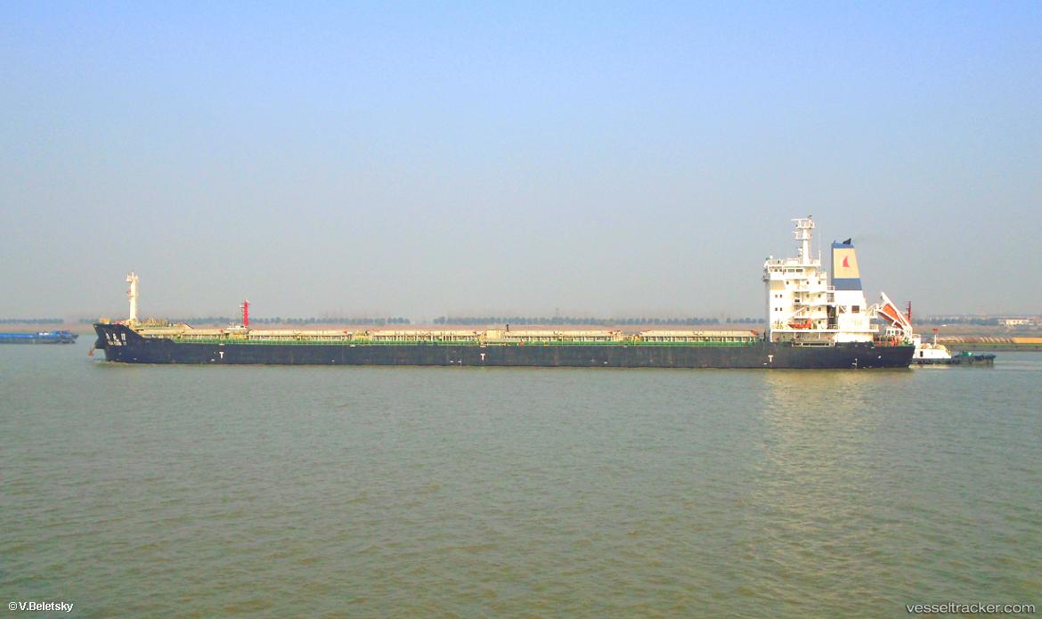 Yangze-31 - Bulk Carrier vessel