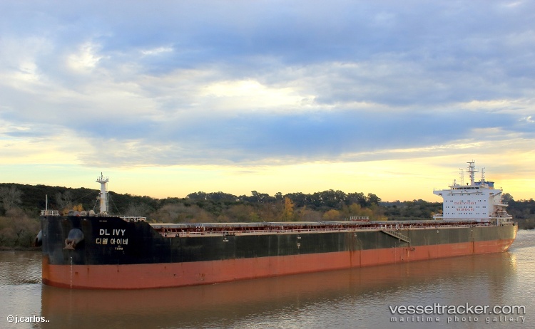 Xin-Hai-Tong-805 - Bulk Carrier vessel