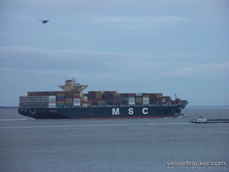 Msc-Albany