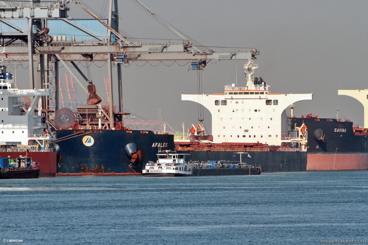 Afales - Bulk Carrier vessel