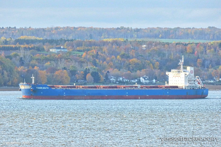 Tiger-South - Bulk Carrier vessel