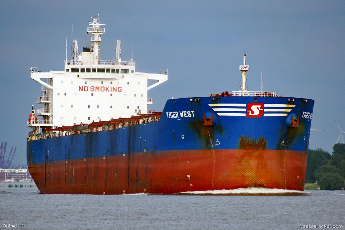Tiger-West - Bulk Carrier vessel