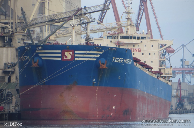 Tiger-North - Bulk Carrier vessel