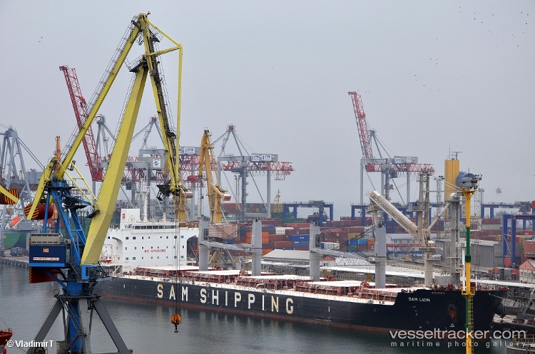 Xin-Ming-Zhou-27 - Bulk Carrier vessel