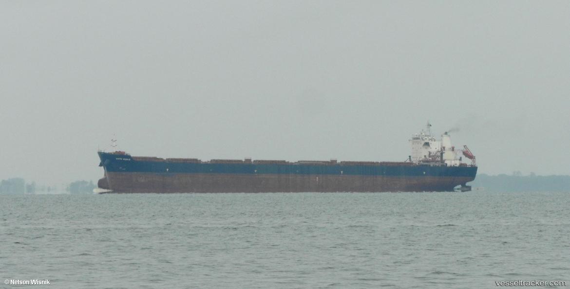 White-Whale - Bulk Carrier vessel