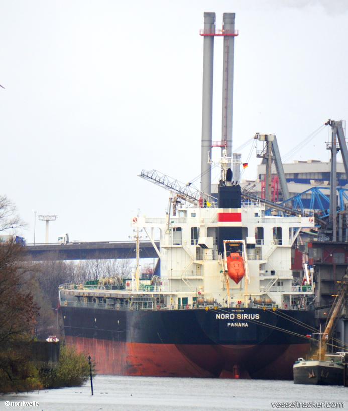 Orient-Harmony - Bulk Carrier