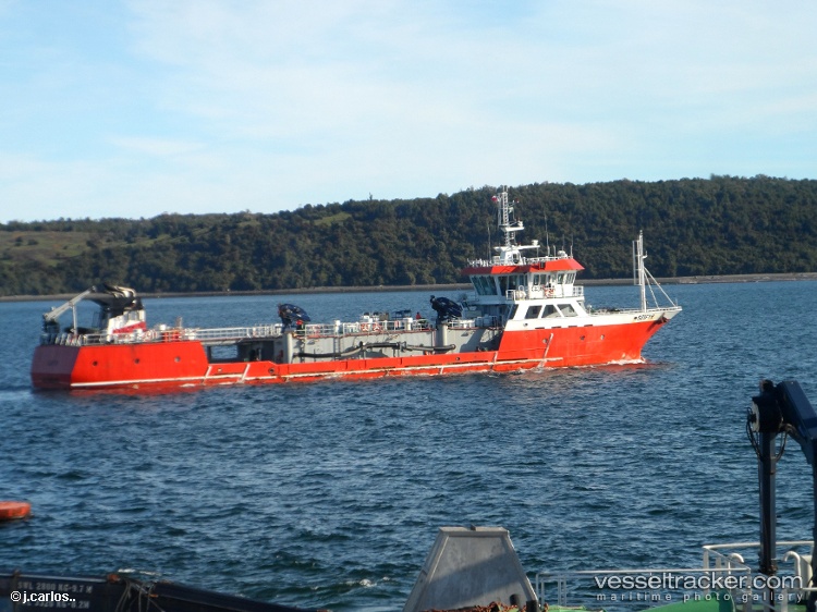 Seifyr - Fish Carrier vessel