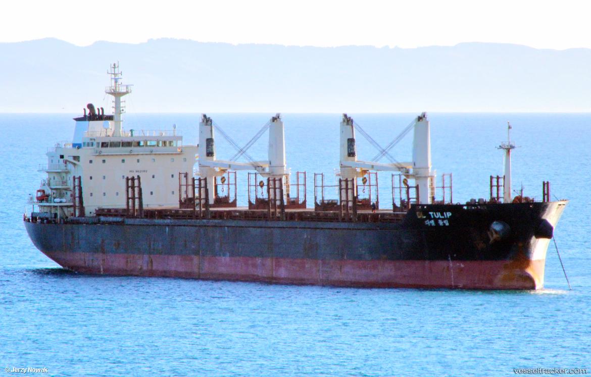 Lopa-T - Bulk Carrier vessel