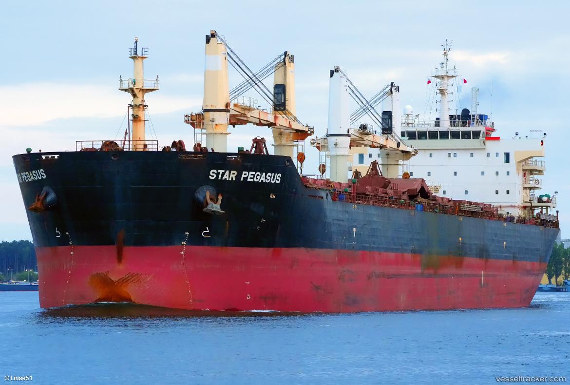 Star-Pegasus - Bulk Carrier vessel