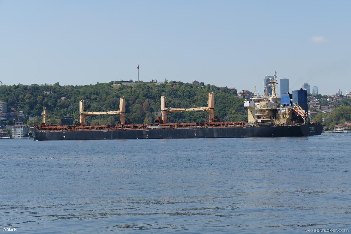 Super-Rice - Bulk Carrier vessel