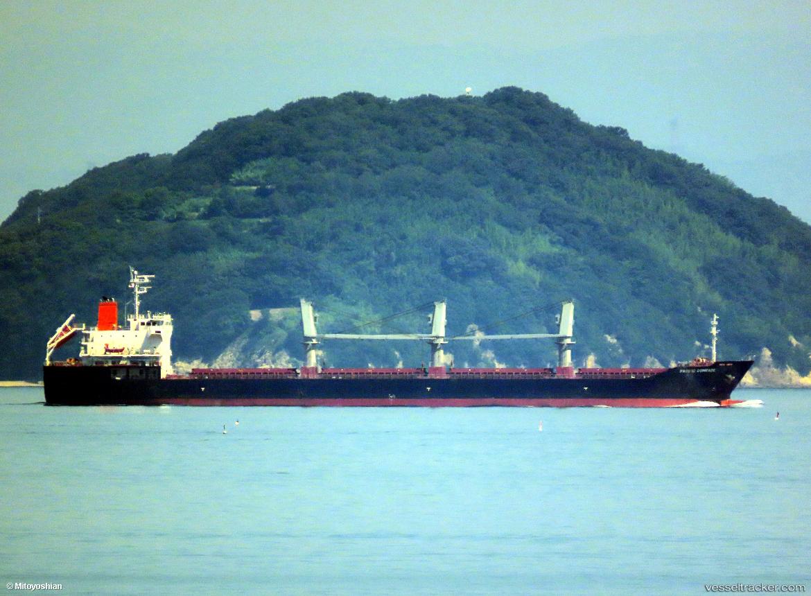 Pacific-Comrade - Bulk Carrier vessel