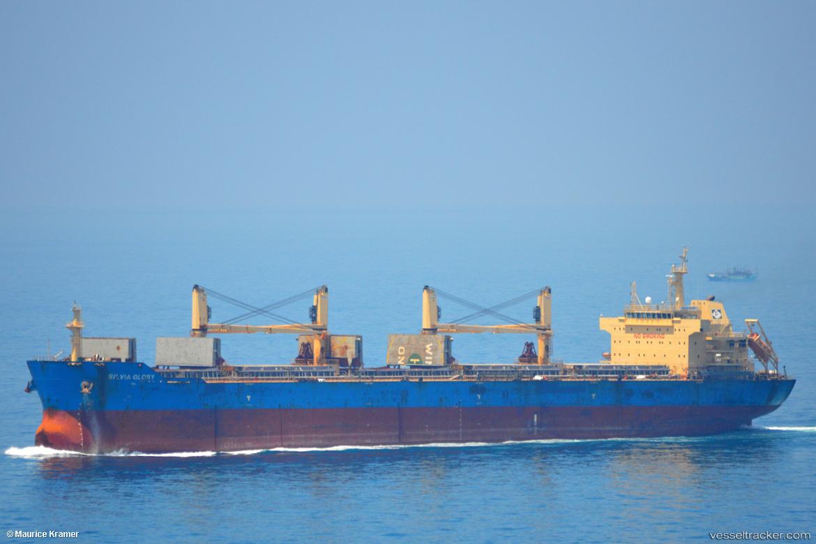 Xin-Wu-Xiang-Hai - Bulk Carrier vessel