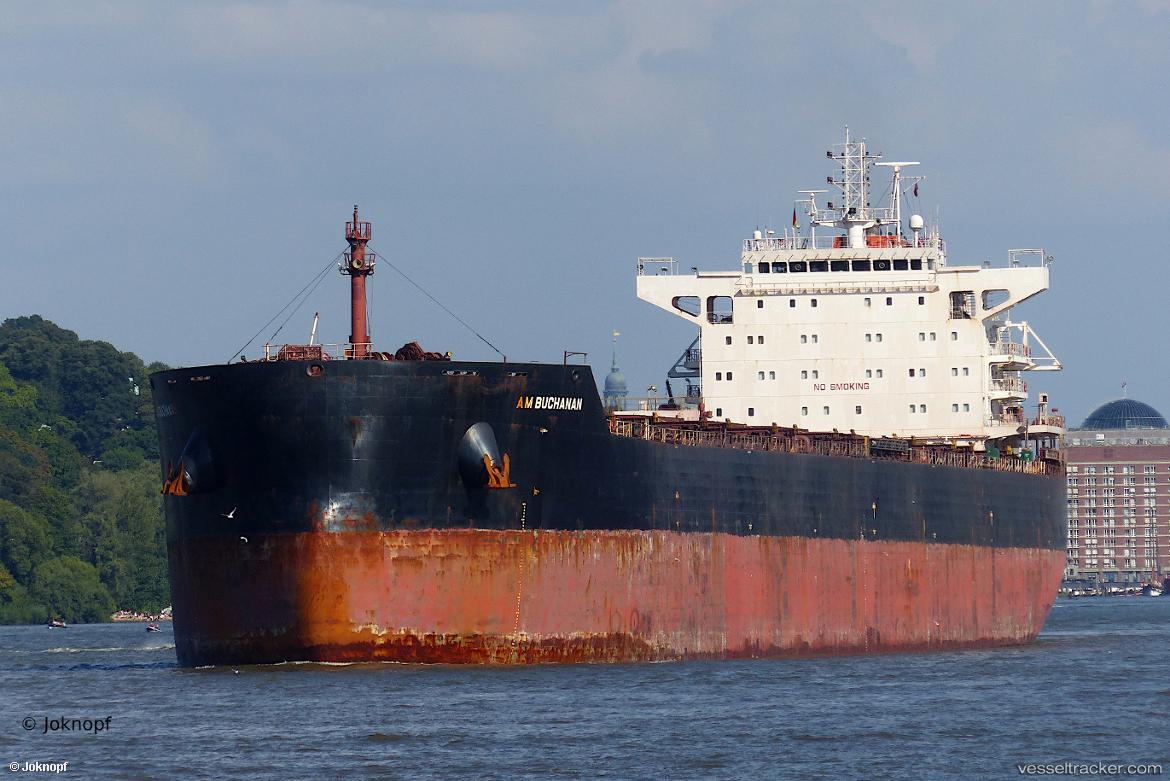 Xin-Hai-Tong-806 - Bulk Carrier vessel