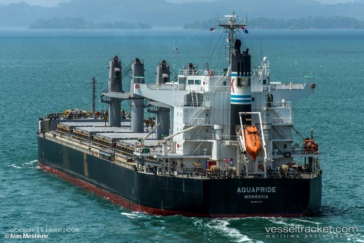 Ocean-Begonia - Bulk Carrier