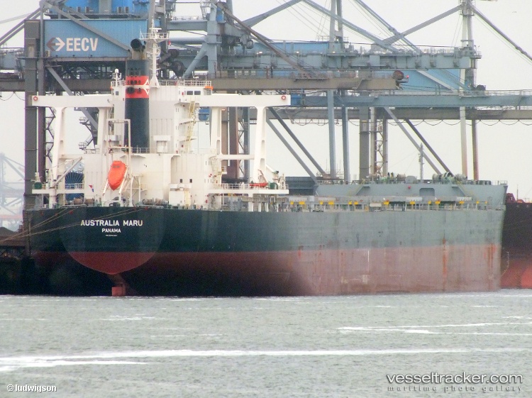 Worldship - Bulk Carrier vessel